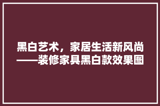 黑白艺术，家居生活新风尚——装修家具黑白款效果图