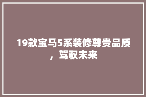 19款宝马5系装修尊贵品质，驾驭未来