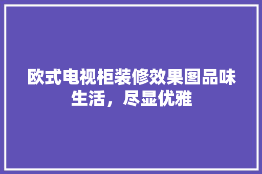 欧式电视柜装修效果图品味生活，尽显优雅