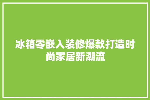 冰箱零嵌入装修爆款打造时尚家居新潮流