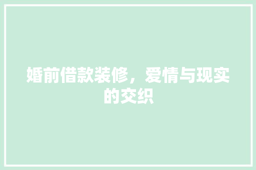 婚前借款装修，爱情与现实的交织