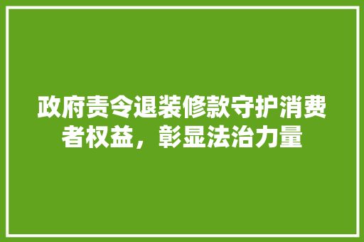 政府责令退装修款守护消费者权益，彰显法治力量