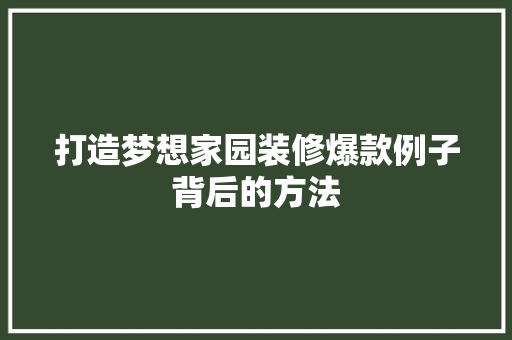 打造梦想家园装修爆款例子背后的方法
