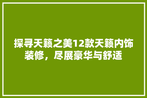 探寻天籁之美12款天籁内饰装修，尽展豪华与舒适