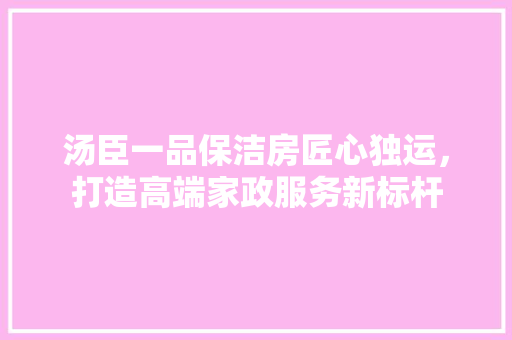 汤臣一品保洁房匠心独运，打造高端家政服务新标杆