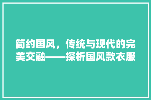 简约国风，传统与现代的完美交融——探析国风款衣服店面装修艺术