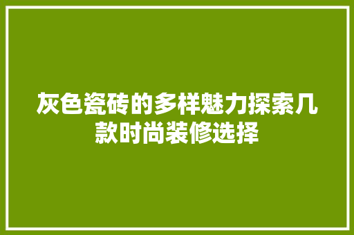 灰色瓷砖的多样魅力探索几款时尚装修选择