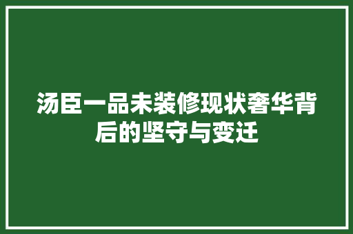 汤臣一品未装修现状奢华背后的坚守与变迁
