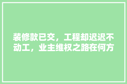 装修款已交，工程却迟迟不动工，业主维权之路在何方
