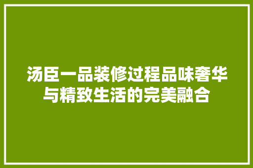 汤臣一品装修过程品味奢华与精致生活的完美融合