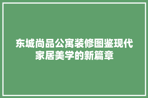 东城尚品公寓装修图鉴现代家居美学的新篇章
