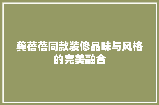 龚蓓蓓同款装修品味与风格的完美融合