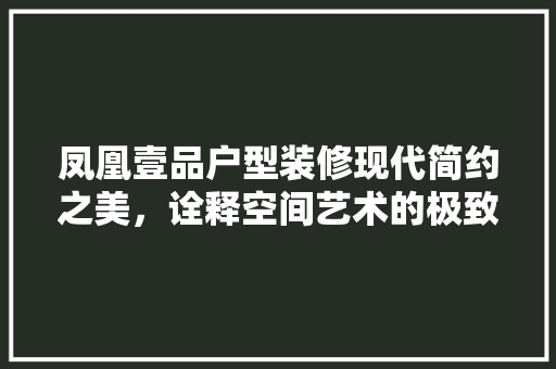 凤凰壹品户型装修现代简约之美，诠释空间艺术的极致
