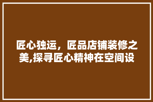 匠心独运，匠品店铺装修之美,探寻匠心精神在空间设计中的体现