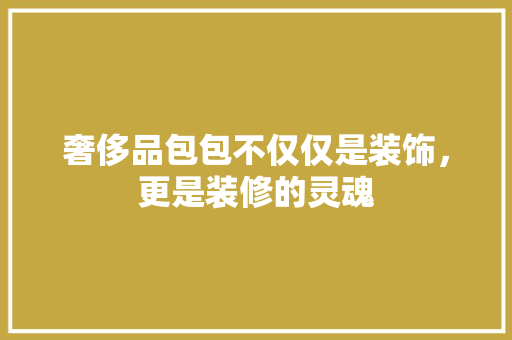 奢侈品包包不仅仅是装饰，更是装修的灵魂