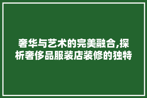 奢华与艺术的完美融合,探析奢侈品服装店装修的独特魅力