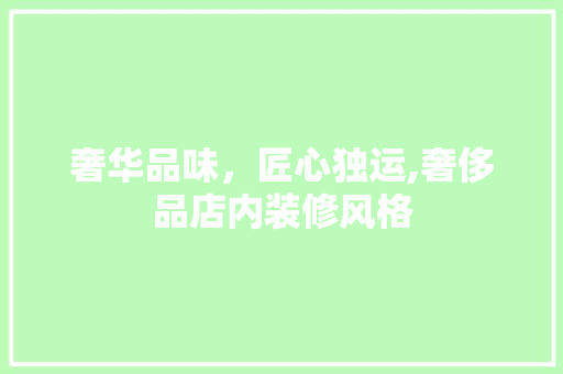 奢华品味，匠心独运,奢侈品店内装修风格