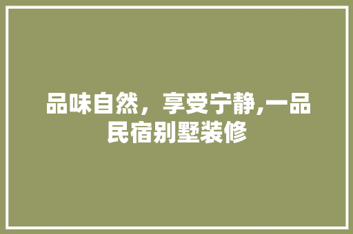 品味自然，享受宁静,一品民宿别墅装修