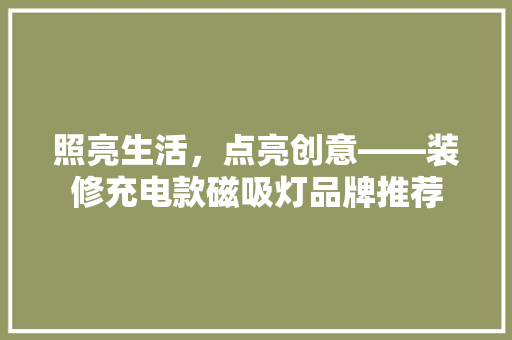 照亮生活，点亮创意——装修充电款磁吸灯品牌推荐