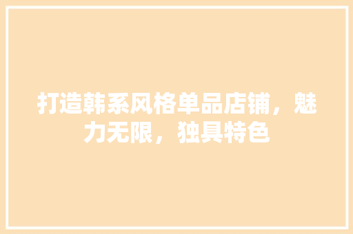 打造韩系风格单品店铺，魅力无限，独具特色