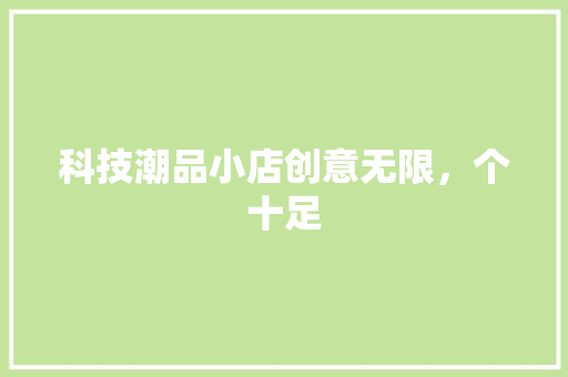 科技潮品小店创意无限，个十足