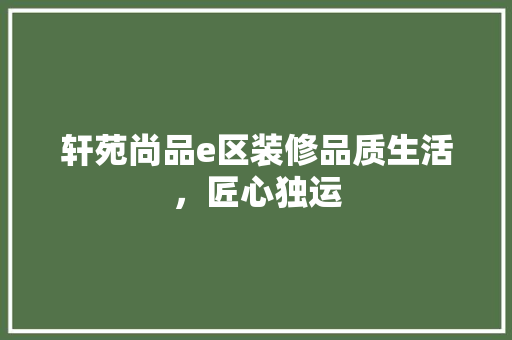 轩苑尚品e区装修品质生活，匠心独运