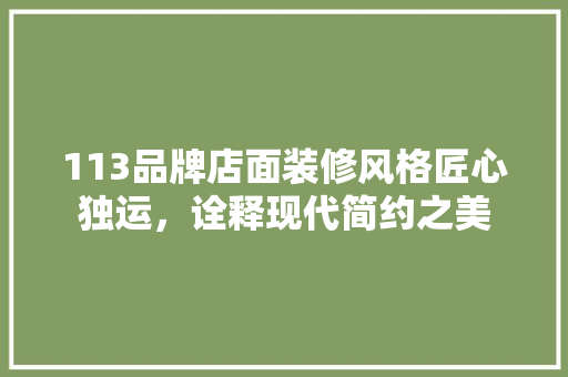 113品牌店面装修风格匠心独运，诠释现代简约之美
