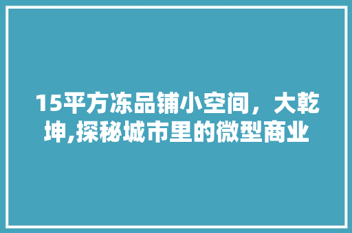 15平方冻品铺小空间，大乾坤,探秘城市里的微型商业奇迹