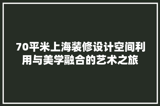 70平米上海装修设计空间利用与美学融合的艺术之旅
