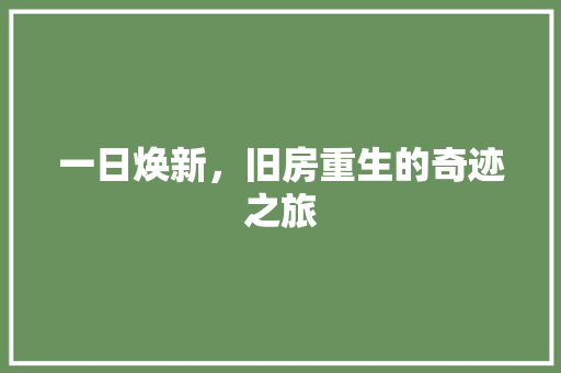 一日焕新，旧房重生的奇迹之旅