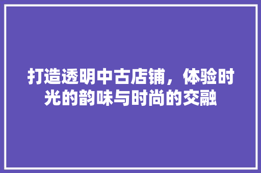打造透明中古店铺，体验时光的韵味与时尚的交融