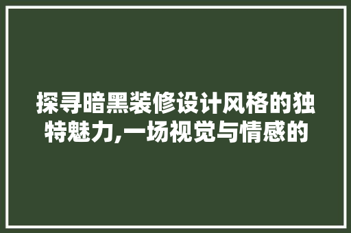 探寻暗黑装修设计风格的独特魅力,一场视觉与情感的盛宴