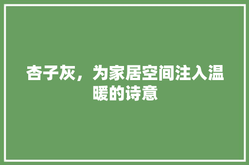 杏子灰，为家居空间注入温暖的诗意