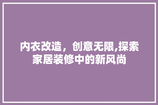 内衣改造，创意无限,探索家居装修中的新风尚