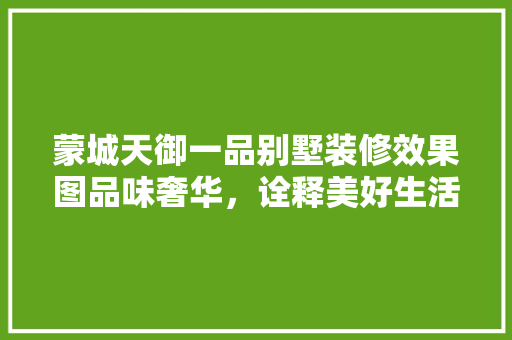蒙城天御一品别墅装修效果图品味奢华，诠释美好生活
