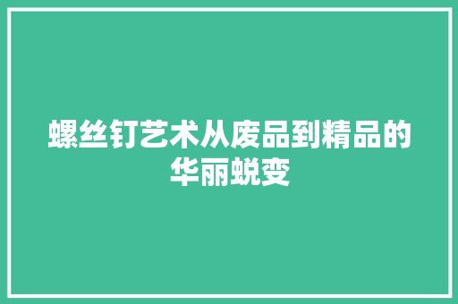 螺丝钉艺术从废品到精品的华丽蜕变