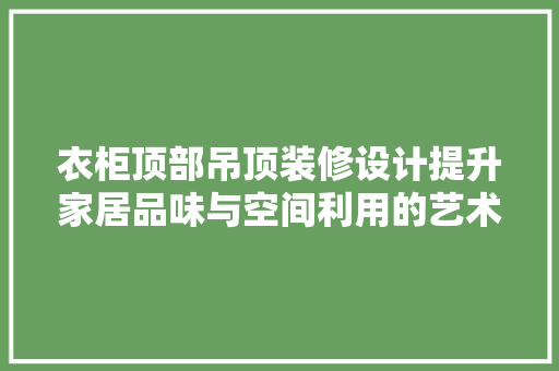 衣柜顶部吊顶装修设计提升家居品味与空间利用的艺术