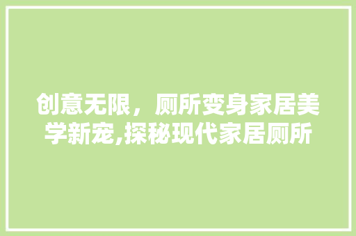创意无限，厕所变身家居美学新宠,探秘现代家居厕所装修设计