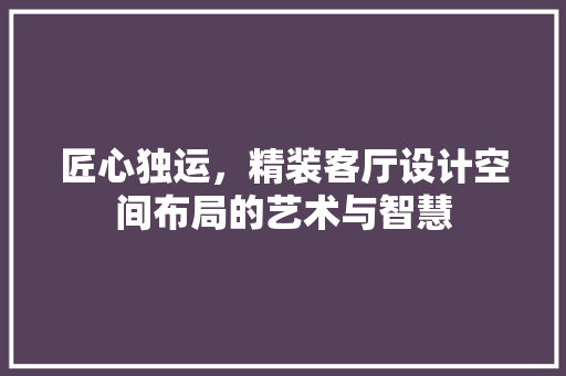 匠心独运，精装客厅设计空间布局的艺术与智慧  第1张