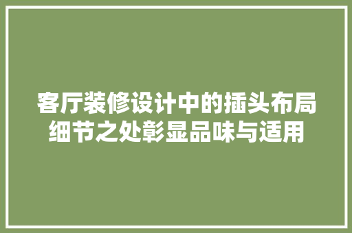 客厅装修设计中的插头布局细节之处彰显品味与适用