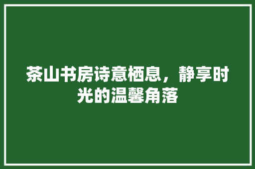 茶山书房诗意栖息，静享时光的温馨角落  第1张