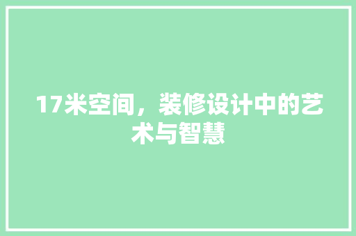 17米空间，装修设计中的艺术与智慧