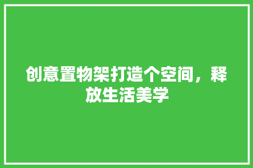 创意置物架打造个空间，释放生活美学