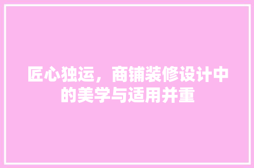 匠心独运，商铺装修设计中的美学与适用并重