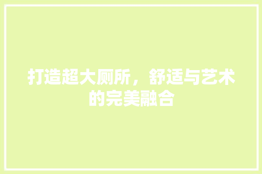 打造超大厕所，舒适与艺术的完美融合