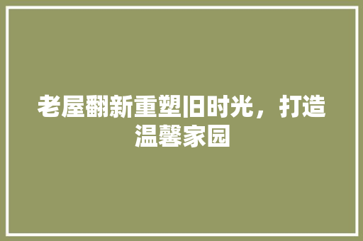 老屋翻新重塑旧时光，打造温馨家园  第1张