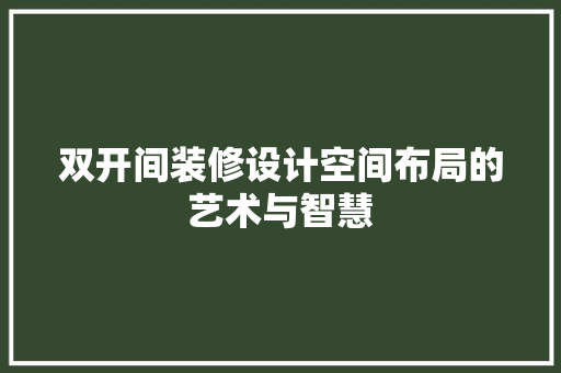 双开间装修设计空间布局的艺术与智慧