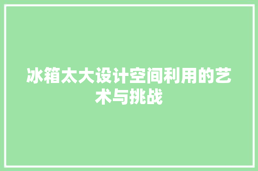 冰箱太大设计空间利用的艺术与挑战