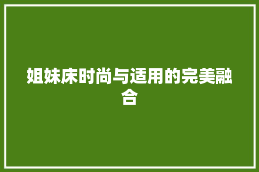 姐妹床时尚与适用的完美融合