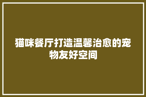 猫咪餐厅打造温馨治愈的宠物友好空间
